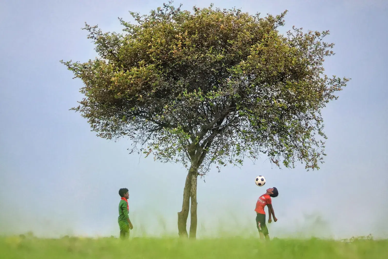 Two boys playing football beside a lone tree in a green field in Bangladesh